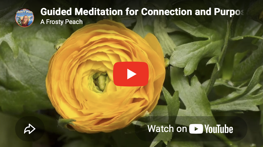 Connection and Purpose